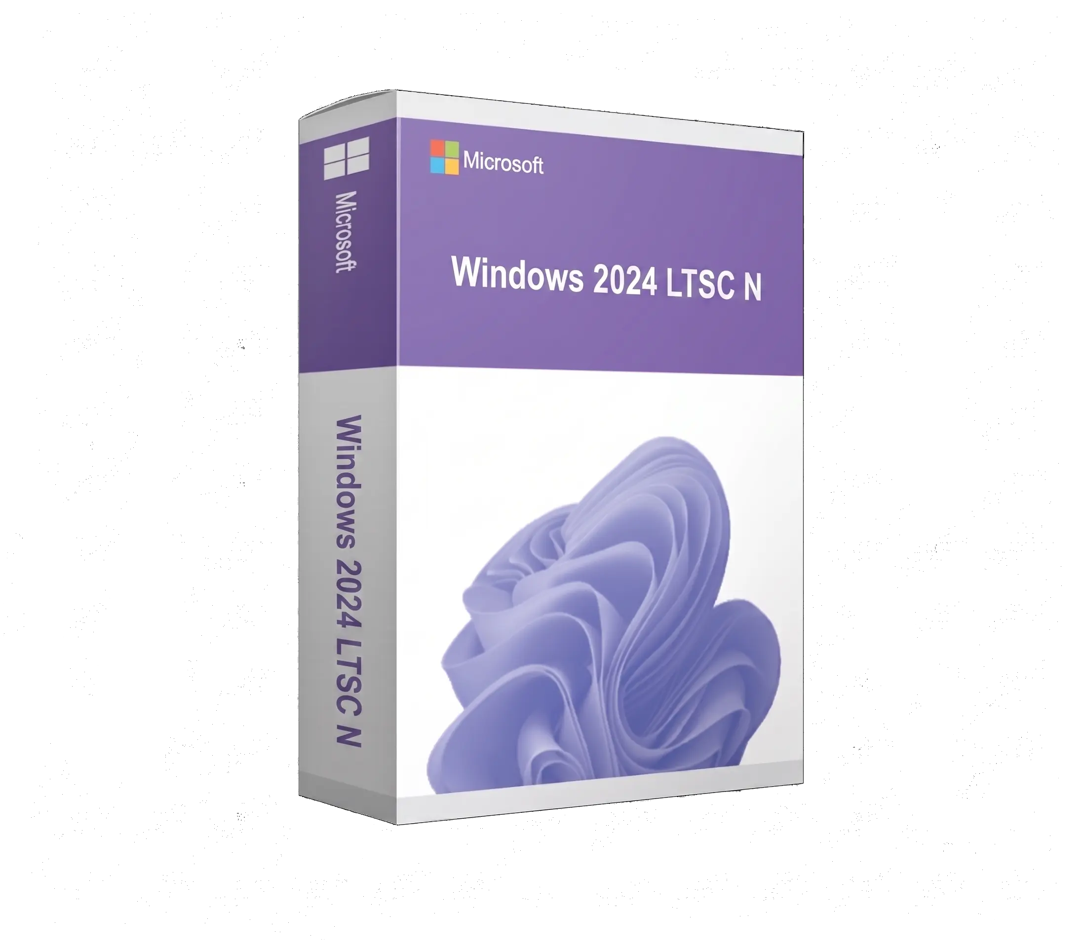 Windows 2024 LTSC Enterprise N