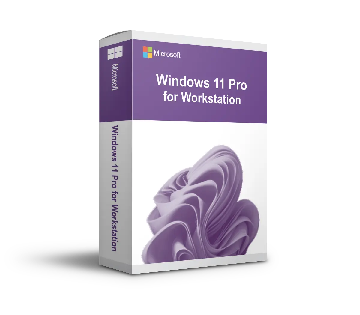 Windows 11 Professional for Workstations | Blitzversand