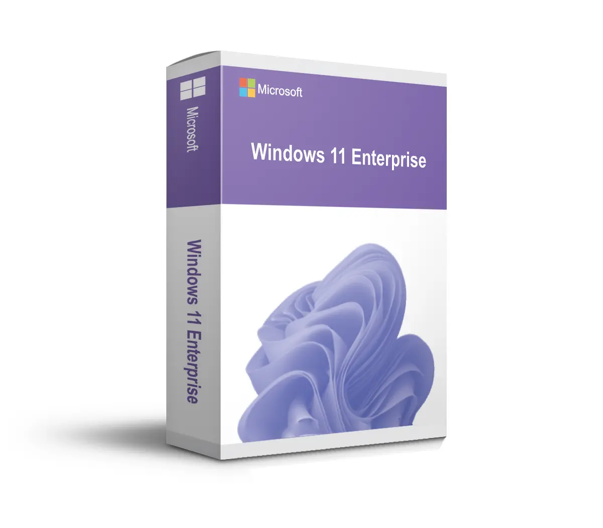 Windows 11 Enterprise | ESD