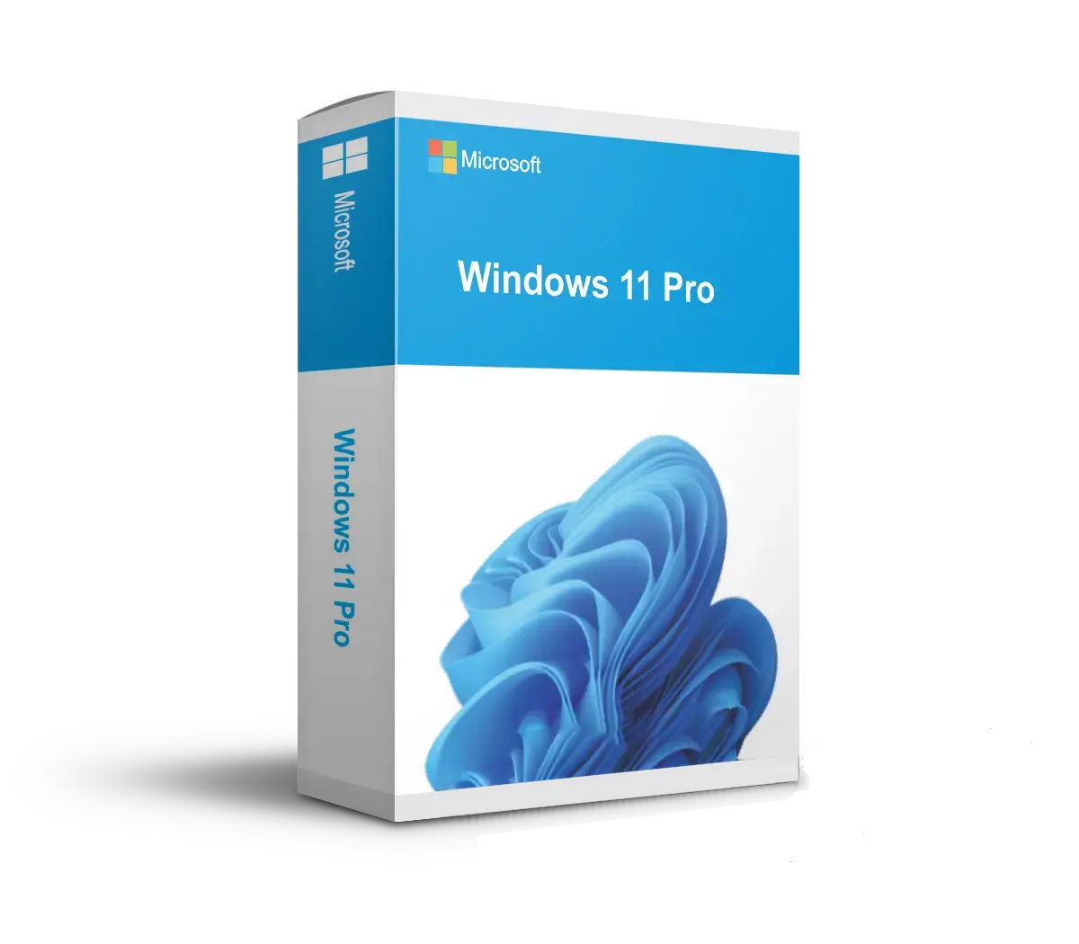 Windows 11 Professional | Sofort-Download | ESD